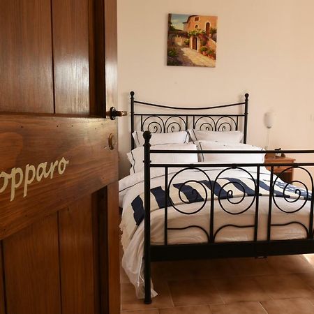 Bed and Breakfast Via Bruno Rossi 23 Ambrogio Экстерьер фото